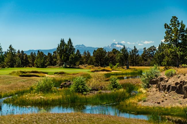 9.PH Golf | Image 16
