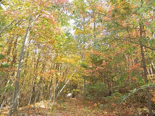 TBD Granite Ln, Chilhowie, VA, 24319 | Card Image