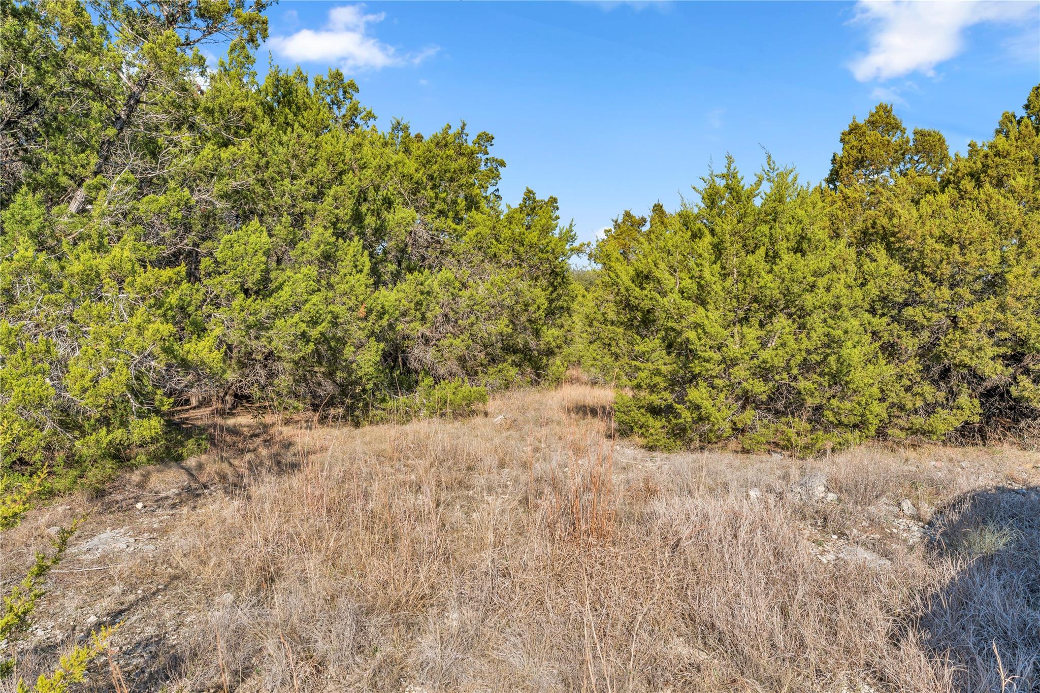 Land in Lago Vista 5