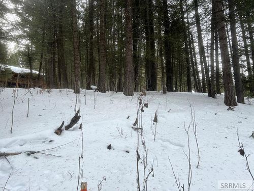 4092 Cedar Dr, Island Park, ID, 83429 | Card Image