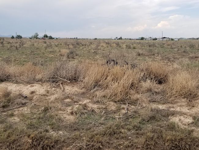 84 Golondrina Street, Home with 0 bedrooms, 0 bathrooms and null parking in Mcintosh NM | Image 4
