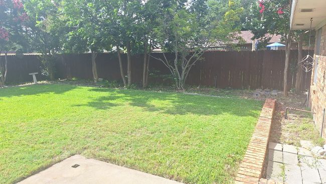 View of fenced backyard | Image 29
