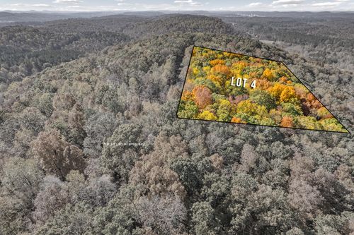 Lot 4 County Road 29, Riceville, TN, 37370 | Card Image