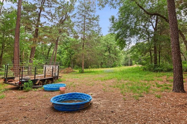 View of yard with a view of trees | Image 24