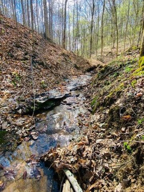 23584 Conrad Rd, South Bloomingville, OH, 43152-9716 | Card Image