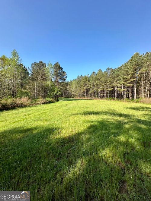0 Jw Dunn Rd, Warm Springs, GA, 31830 | Card Image