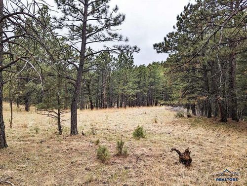 TBD Lot 6 Argyle Rd, Hot Springs, SD, 57747 | Card Image