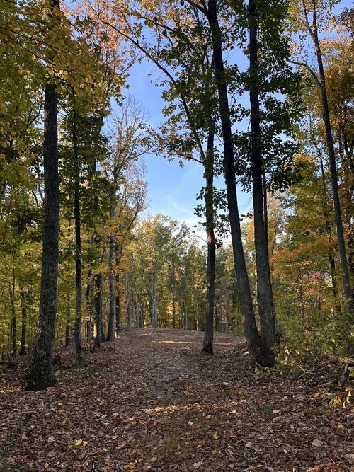 0 Foggy Mountain Road, Bradyville, TN, 37026 | Card Image