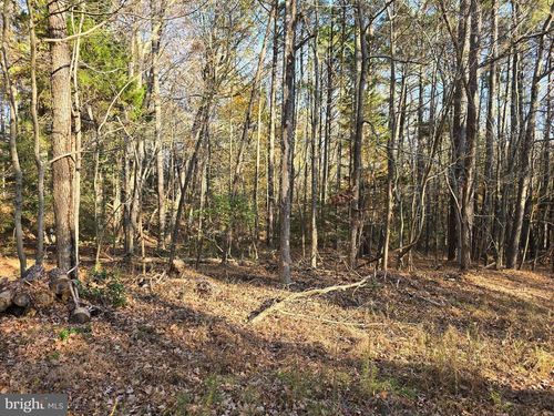 Lot 4 Falling Leaf Lane, Montross, VA, 22520 | Card Image