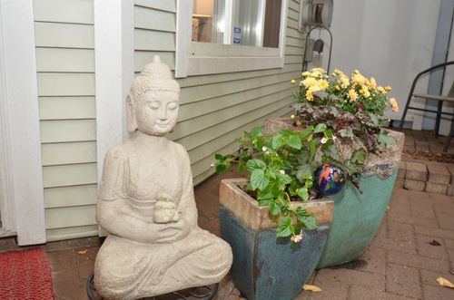 {{alt}} | Card Image