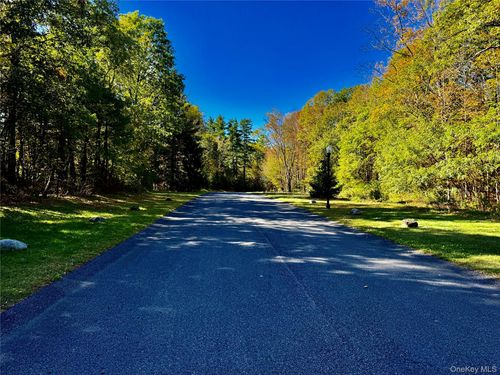 86-44 Falling Waters Dr, Palenville, NY, 12463-2753 | Card Image