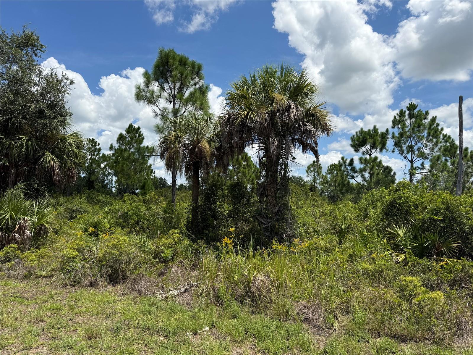 Land in PORT CHARLOTTE