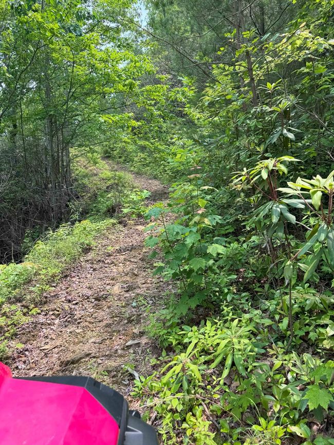 88 acres Bolden Branch Rd, Home with 0 bedrooms, 0 bathrooms and null parking in Andrews NC | Image 26