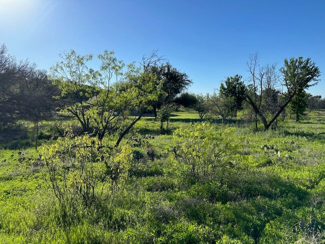 740 Downhaul Way, Home with 0 bedrooms, 0 bathrooms and null parking in Brownwood TX | Image 13