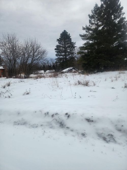 12096 Ramsey Street, Northome, MN, 56661 | Card Image