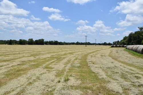 00 An County Road 460, Palestine, TX, 75803 | Card Image