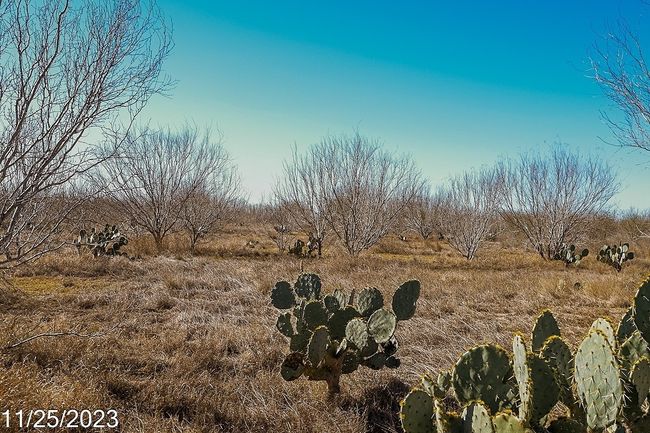 2 Us Hwy 85, Home with 0 bedrooms, 0 bathrooms and null parking in Dilley TX | Image 9