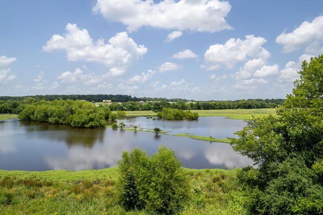 Lot 42 Shore Crest Way, Home with 0 bedrooms, 0 bathrooms and null parking in Athens TX | Image 10