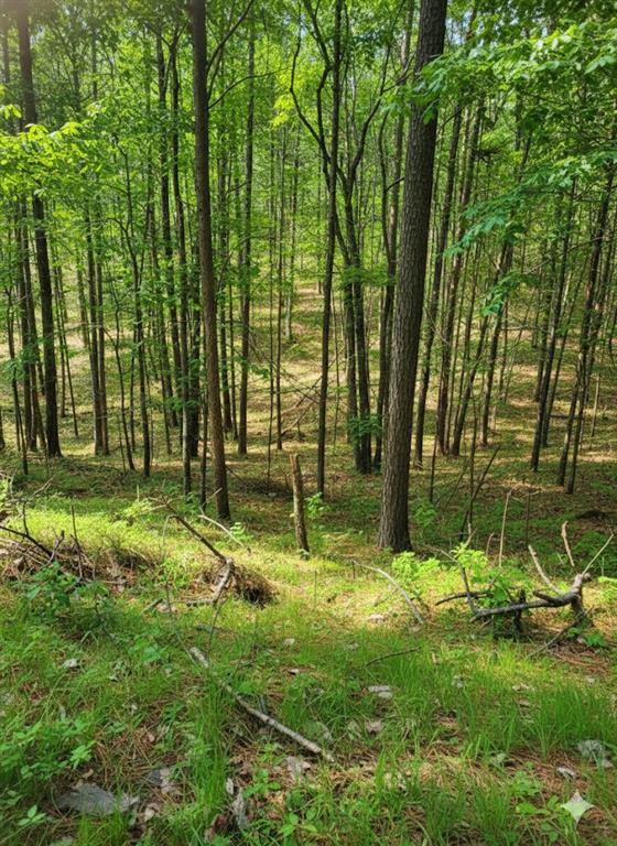 Land in Broken Bow