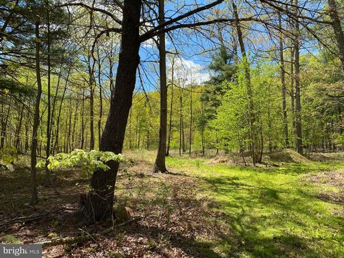 84 Alex Ln, Berkeley Springs, WV, 25411 | Card Image