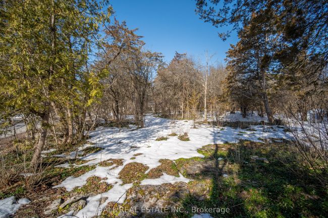 0 Snake Point Rd, Home with 0 bedrooms, 0 bathrooms and null parking in Bobcaygeon ON | Image 6