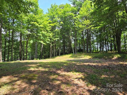 Lot 13 Vista Ridge Road, Fleetwood, NC, 28626 | Card Image