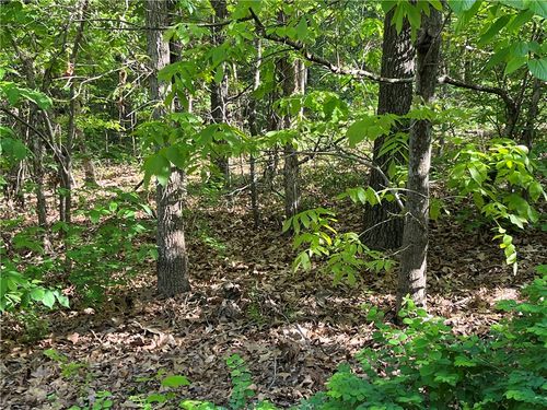 Lot 6 Block 8 Welland Lane, Bella Vista, AR, 72715 | Card Image