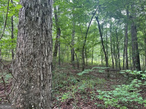 0 Waterview Dr, LaGrange, GA, 30240 | Card Image