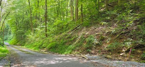 Lot 0025 Black Walnut Flats Rd, Sevierville, TN, 37862-7941 | Card Image