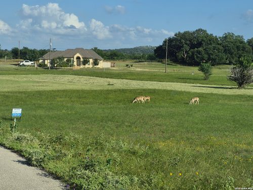 201 Spanish Grant Cir, Bandera, TX, 78003-4392 | Card Image