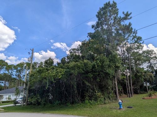7 Seckel Ct, Palm Coast, FL, 32164-4419 | Card Image