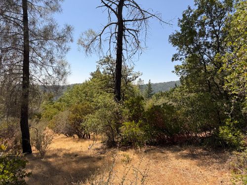 14973 La Place Ln, Dobbins, CA, 95935-9616 | Card Image