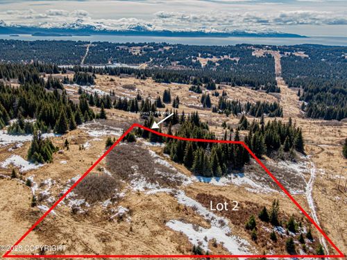 L2 Salin'S Spur Road, Homer, AK, 99603 | Card Image