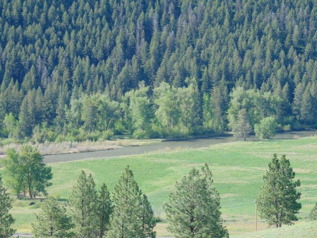 27235 Lazy Springs Rd, Home with 0 bedrooms, 0 bathrooms and null parking in Clinton MT | Image 5