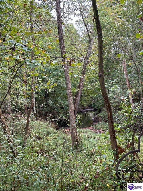 155 Foggy Bottom Ln, Garfield, KY, 40140-5250 | Card Image