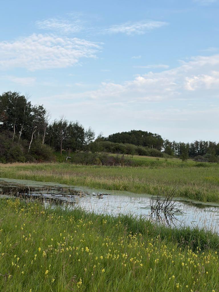 Land in Marwayne 2