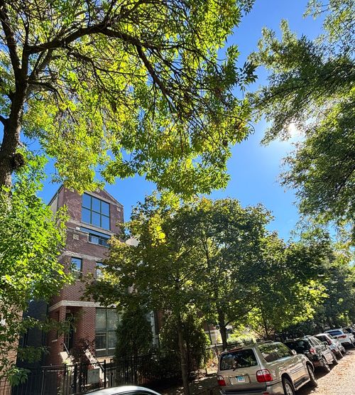 apt-3-869 N Paulina St, Chicago, IL, 60622-0262 | Card Image