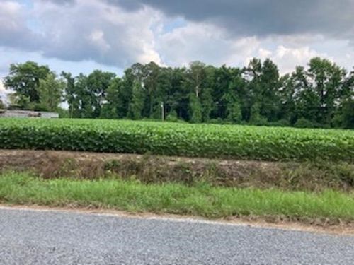 0 Waycross Rd, Turkey, NC, 28393 | Card Image