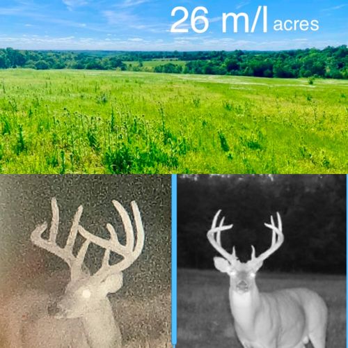 002 Tbd Lazy Acres Road, Protem, MO, 65733 | Card Image