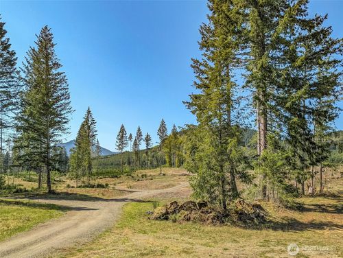 lot-b3-0 Craig Rd, Packwood, WA, 98361 | Card Image