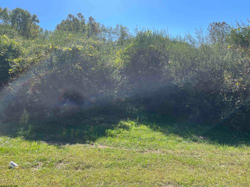 TBA Maple Dr, Jane Lew, WV, 26378 | Card Image