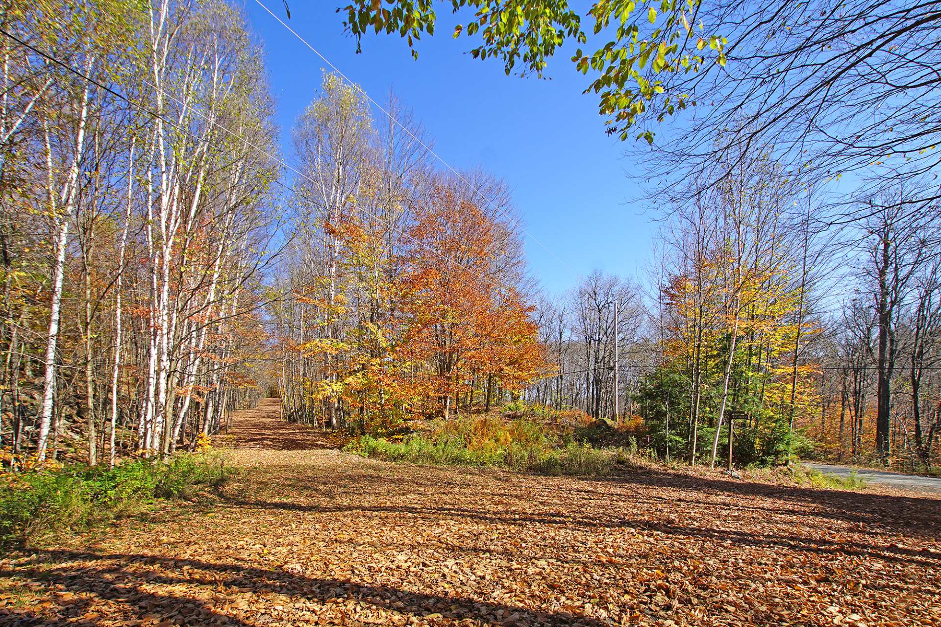Land in Wentworth 5
