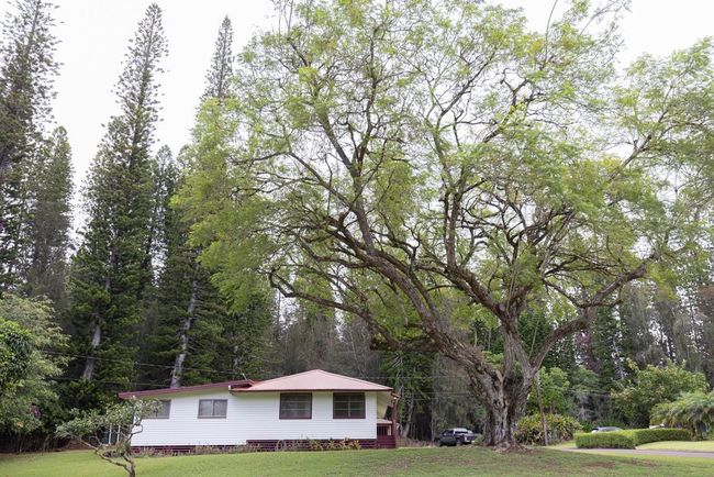 437 Hau Dr, House other with 3 bedrooms, 2 bathrooms and null parking in Lanai City HI | Image 6