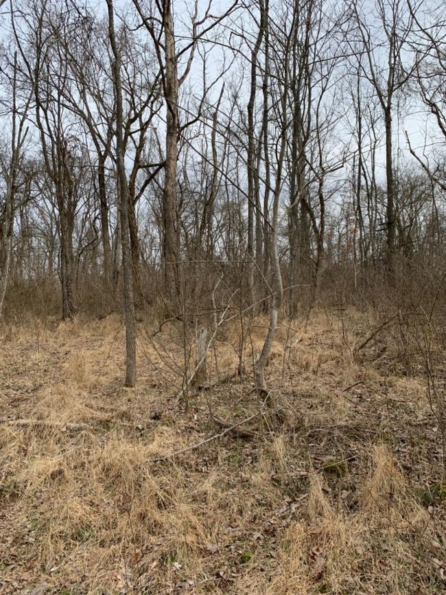 6049 Big Run Rd, Home with 0 bedrooms, 0 bathrooms and null parking in Georgetown OH | Image 38
