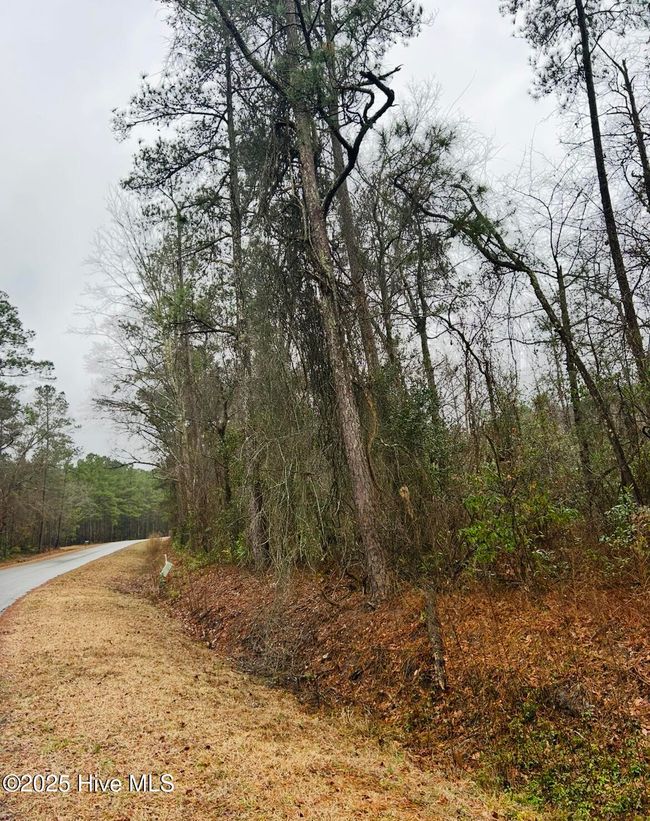 4 Near Keith Rd & Canetuck Rd Road, Home with 0 bedrooms, 0 bathrooms and null parking in Atkinson NC | Image 6
