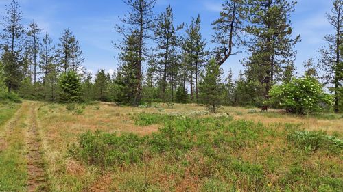 XXX W Highland Rd, Nine Mile Falls, WA, 99026 | Card Image