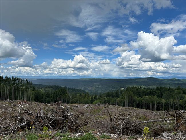 0 NKA 713 Road, Home with 0 bedrooms, 0 bathrooms and null parking in Castle Rock WA | Image 7
