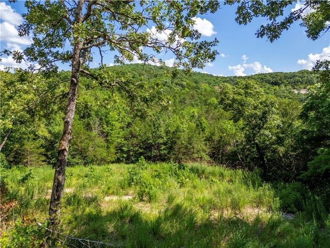 View of tree filled area | Image 6