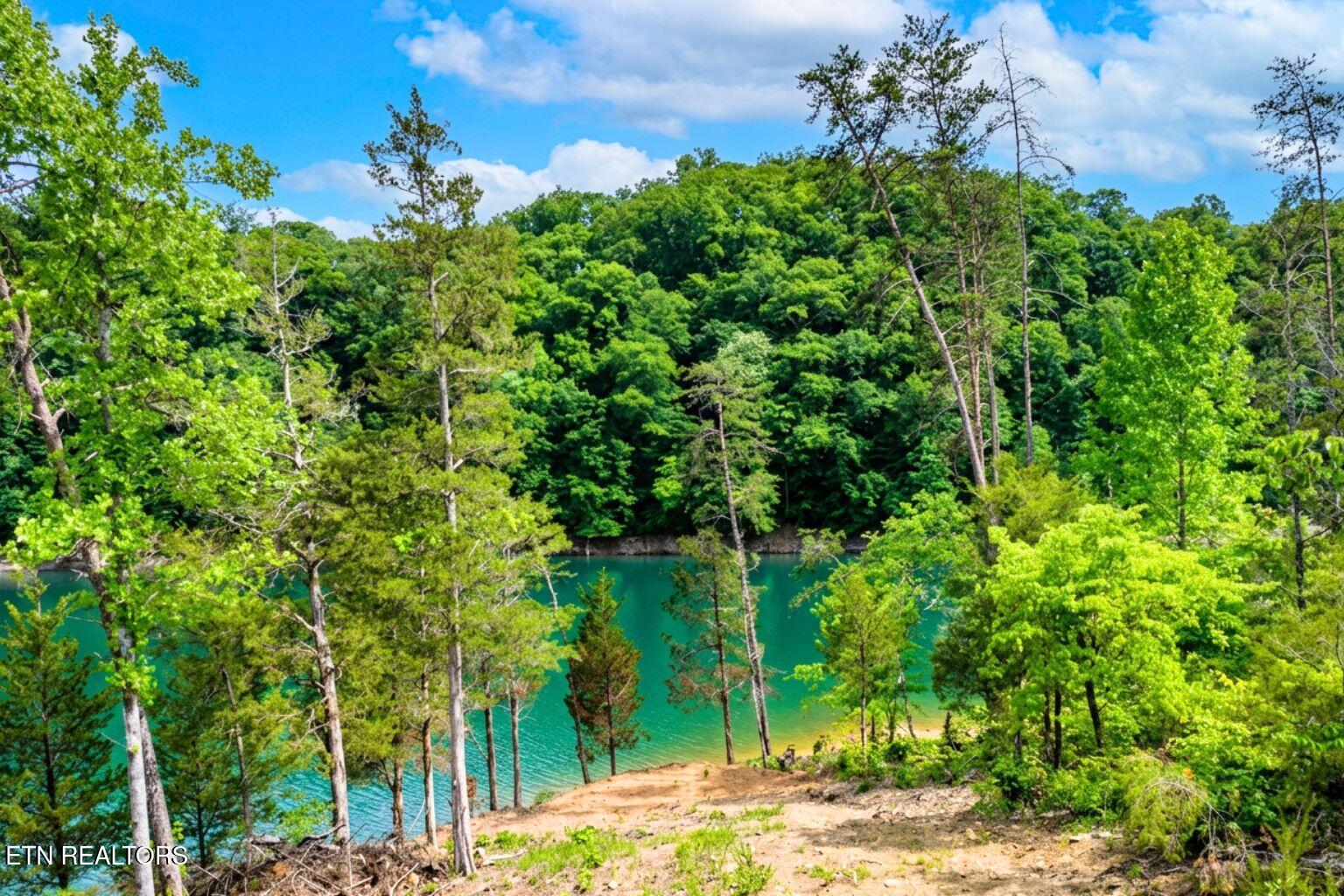 Land in Washburn 5