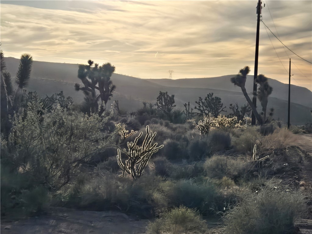 Land in White Hills 4
